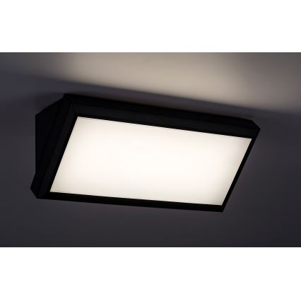 Rabalux - LED Sieninis lauko šviestuvas LED/12W/230V IP54