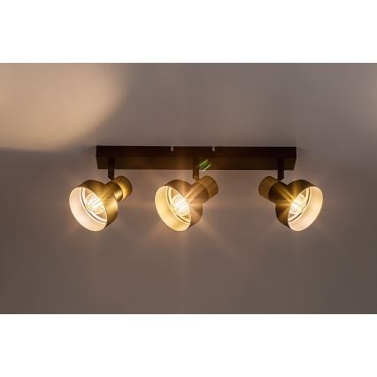 Rabalux - Akcentinis apšvietimas 3xE14/15W/230V