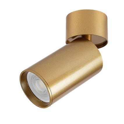 Rabalux - Akcentinis apšvietimas 1xGU10/5W/230V auksas