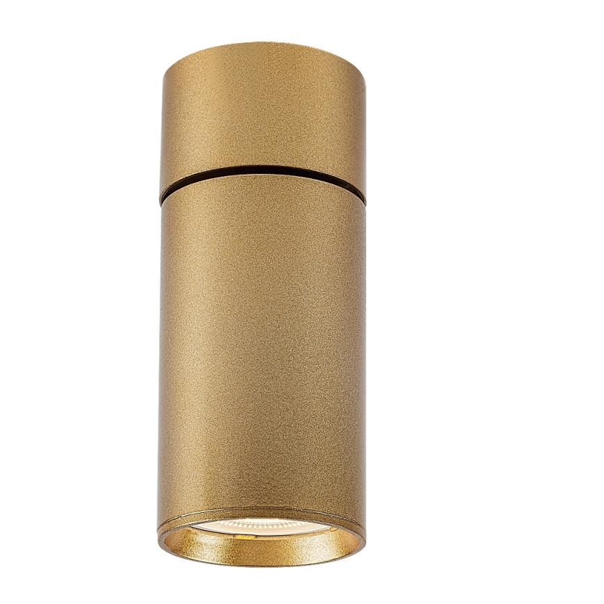 Rabalux - Akcentinis apšvietimas 1xGU10/5W/230V auksas