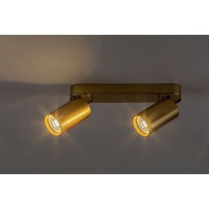 Rabalux - Akcentinis apšvietimas 2xGU10/5W/230V auksas