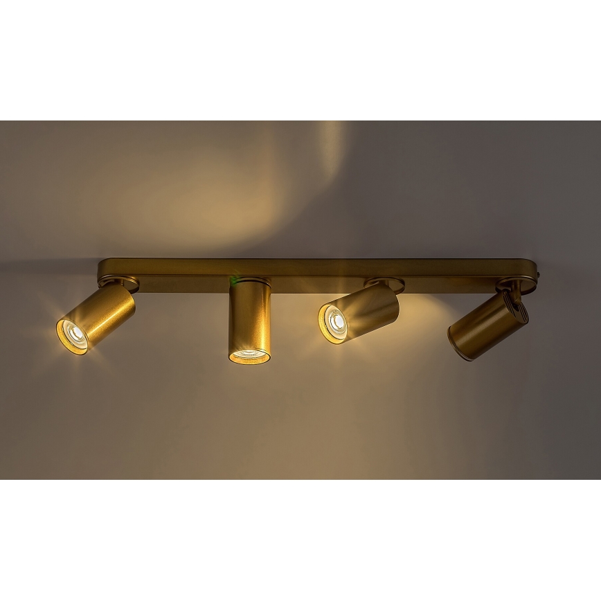 Rabalux - Akcentinis apšvietimas 4xGU10/5W/230V auksas