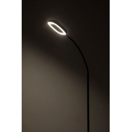 Rabalux - LED reguliuojama lietimui jautri pastatoma lempa LED/11W/230V 3000K