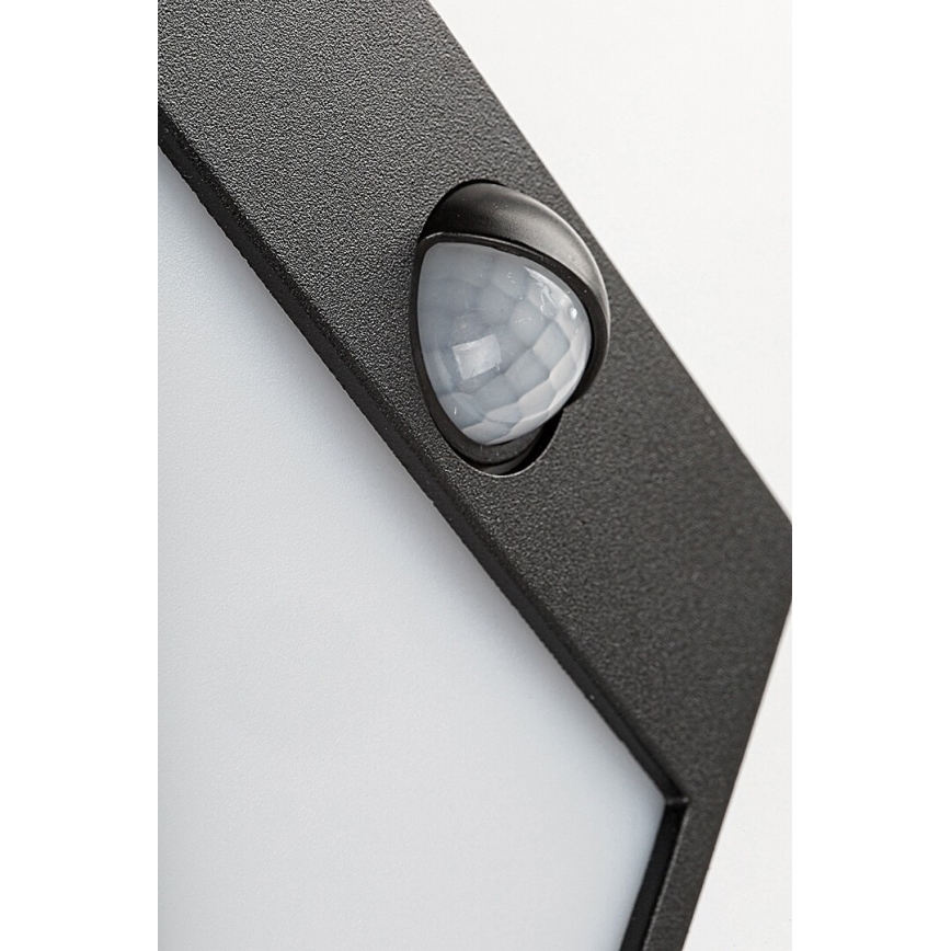 Rabalux -LED Laukos sieninis šviestuvas su jutikliu  LED/12W/230V juodas IP44