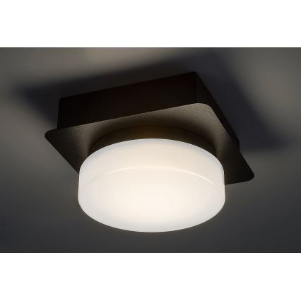 Rabalux - LED lubinis vonios šviestuvas LED/5W/230V IP44 4000K juoda