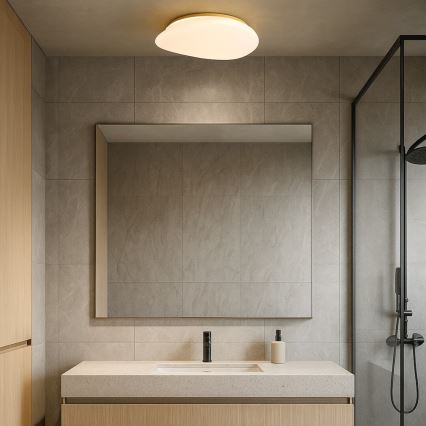 Rabalux - LED lubinis vonios šviestuvas LED/24W/230V IP44 Ø 41 cm