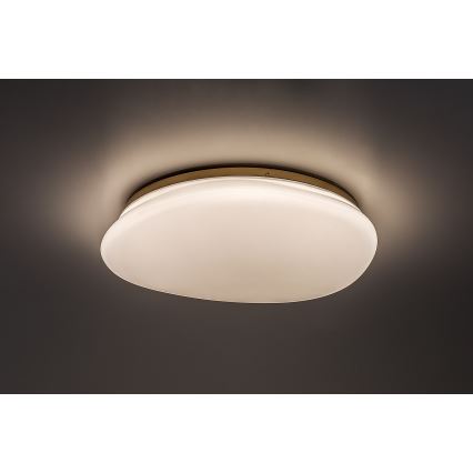 Rabalux - LED lubinis vonios šviestuvas LED/24W/230V IP44 Ø 41 cm
