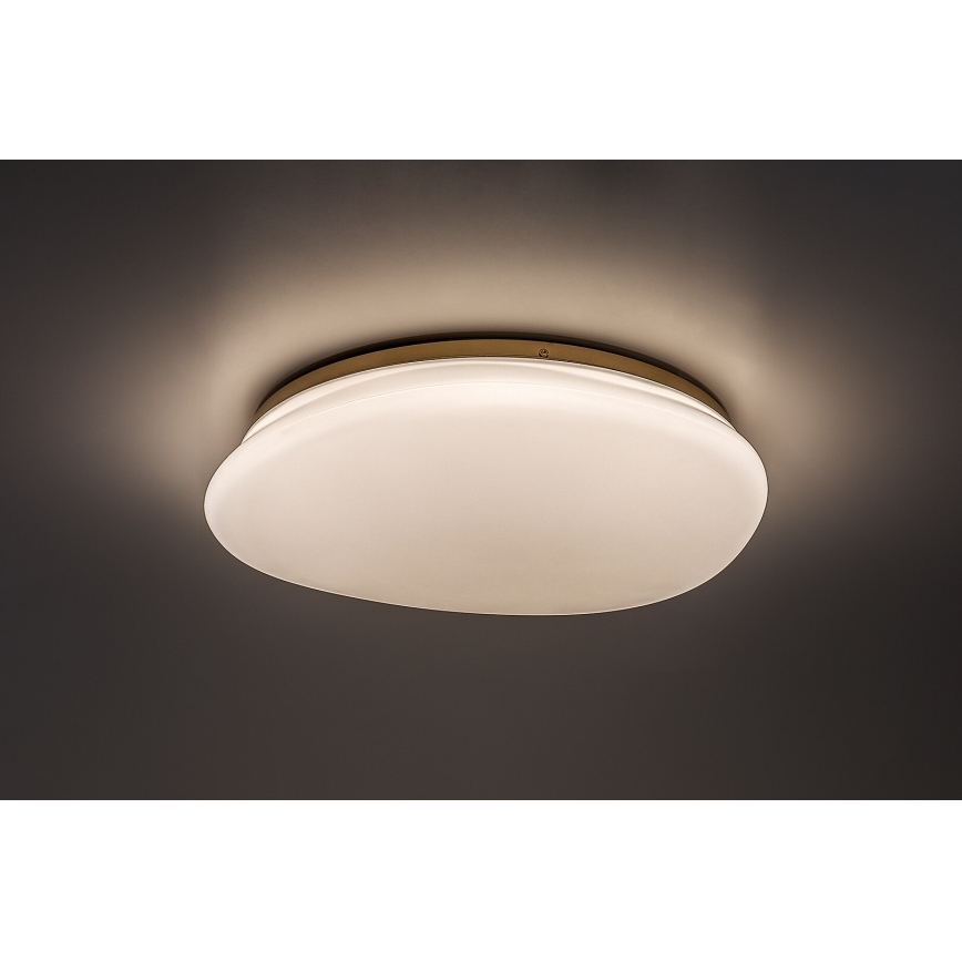 Rabalux - LED lubinis vonios šviestuvas LED/24W/230V IP44 Ø 41 cm