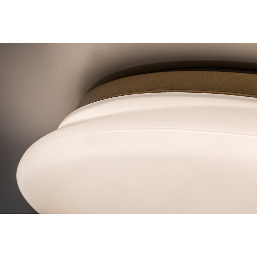 Rabalux - LED lubinis vonios šviestuvas LED/24W/230V IP44 Ø 41 cm