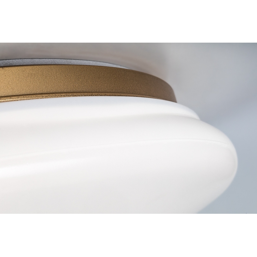 Rabalux - LED lubinis vonios šviestuvas LED/24W/230V IP44 Ø 41 cm