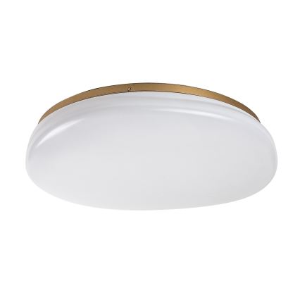 Rabalux - LED lubinis vonios šviestuvas LED/24W/230V IP44 Ø 41 cm