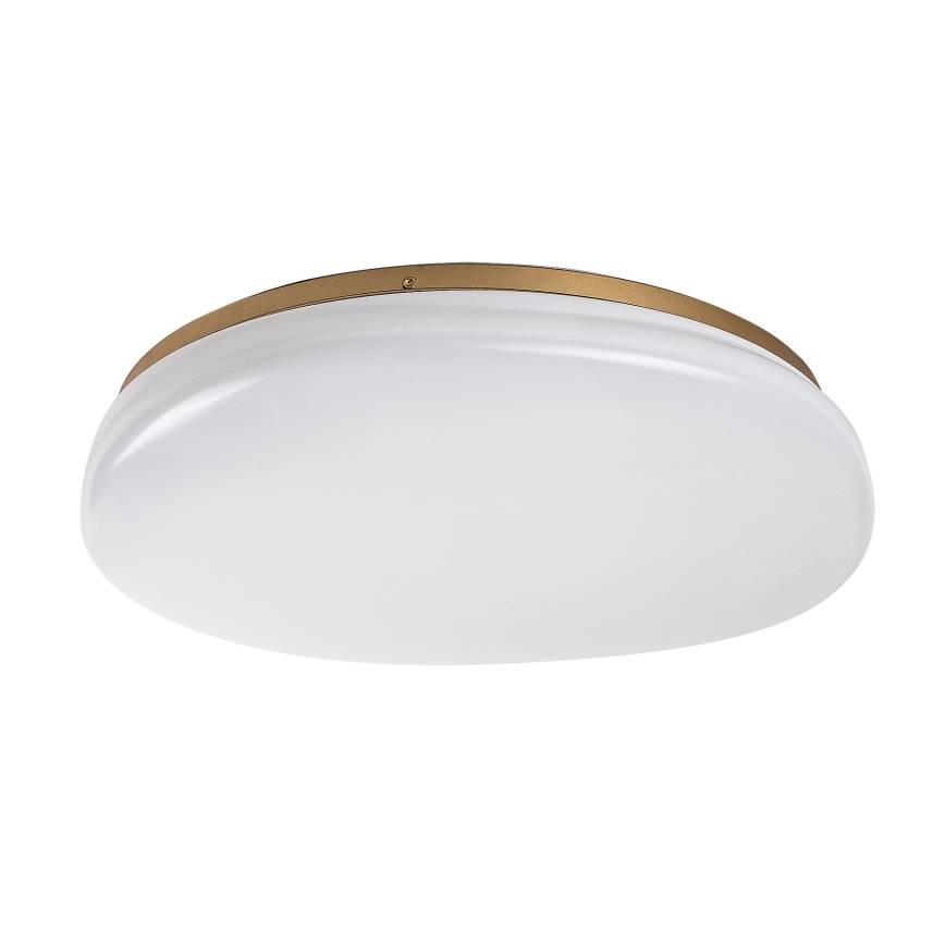 Rabalux - LED lubinis vonios šviestuvas LED/24W/230V IP44 Ø 41 cm