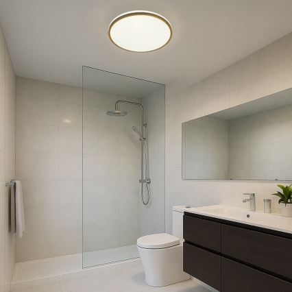 Rabalux - LED vonios kambario lubinis šviestuvas LED/18W/230V IP44, skersmuo 34 cm