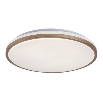 Rabalux - LED vonios kambario lubinis šviestuvas LED/18W/230V IP44, skersmuo 34 cm