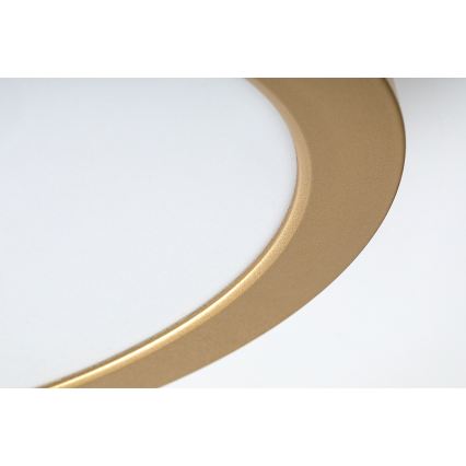 Rabalux - LED vonios kambario lubinis šviestuvas LED/24W/230V Ø 22 cm IP44 auksinis