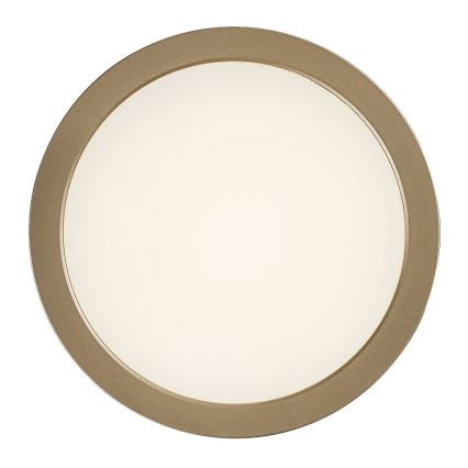 Rabalux - LED vonios kambario lubinis šviestuvas LED/24W/230V Ø 22 cm IP44 auksinis