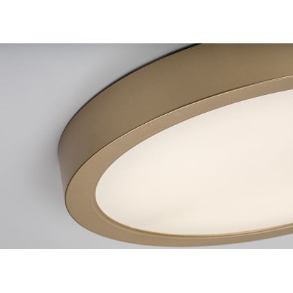 Rabalux - LED vonios kambario lubinis šviestuvas LED/30W/230V skersmuo 30 cm IP44 auksinis