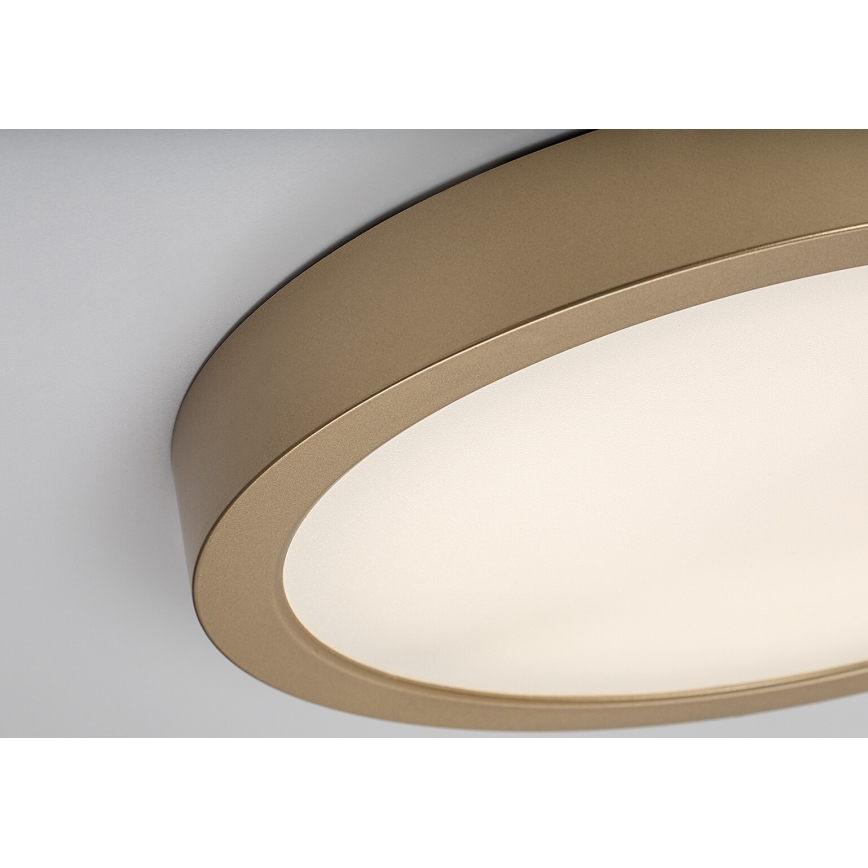 Rabalux - LED vonios kambario lubinis šviestuvas LED/30W/230V skersmuo 30 cm IP44 auksinis