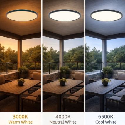 Rabalux - vonios kambario LED lubinis šviestuvas LED/24W/230V 3000/4000/6000K, skersmuo 40 cm, IP44, juodas