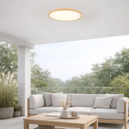 Rabalux - LED vonios kambario lubinis šviestuvas LED/24W/230V 3000/4000/6000K skersmuo 40 cm IP44 smėlinė