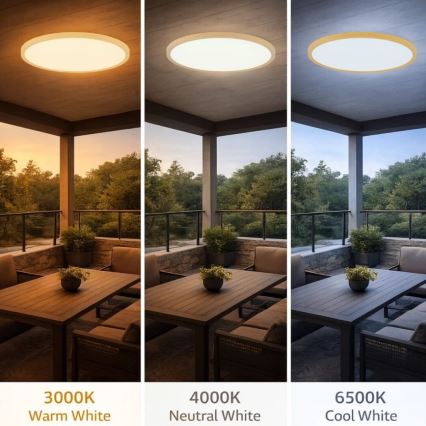 Rabalux - LED vonios kambario lubinis šviestuvas LED/24W/230V 3000/4000/6000K skersmuo 40 cm IP44 smėlinė