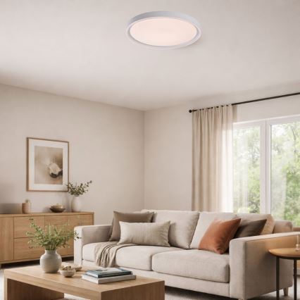 Rabalux - Dimeriuojamas LED lubinis šviestuvas LED/31W/230V IP40 3000-6500K skersmuo 41,5 cm + nuotolinis valdymas
