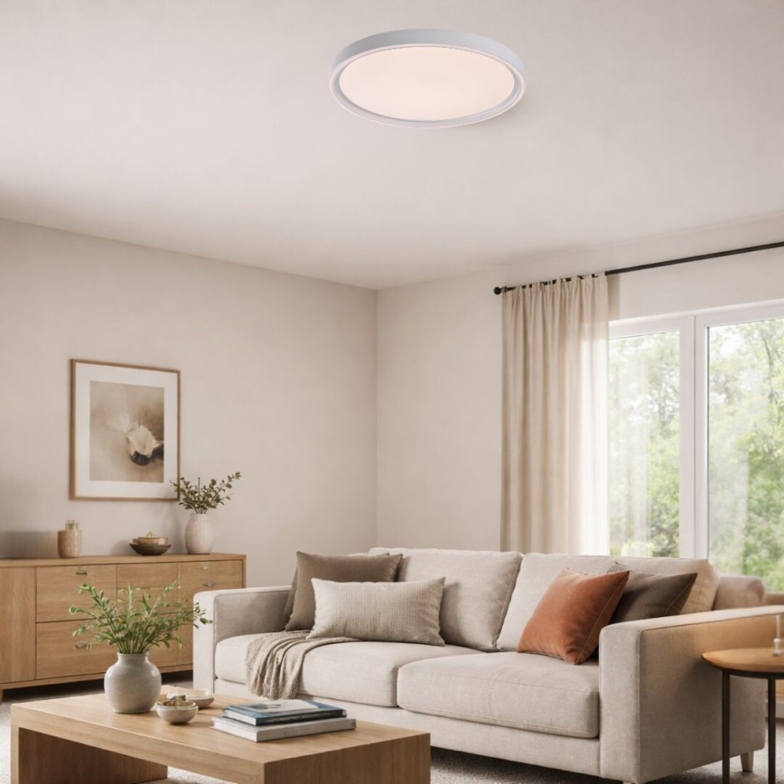 Rabalux - Dimeriuojamas LED lubinis šviestuvas LED/31W/230V IP40 3000-6500K skersmuo 41,5 cm + nuotolinis valdymas