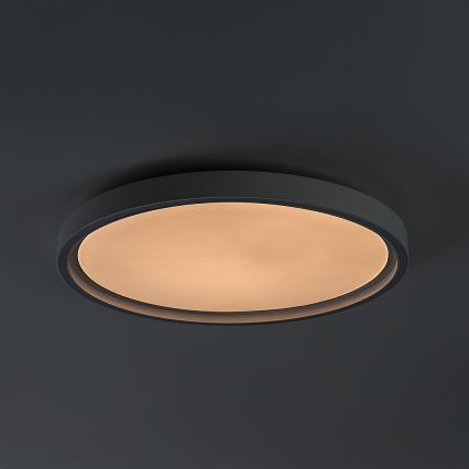 Rabalux - Dimeriuojamas LED lubinis šviestuvas LED/31W/230V IP40 3000-6500K skersmuo 41,5 cm + nuotolinis valdymas