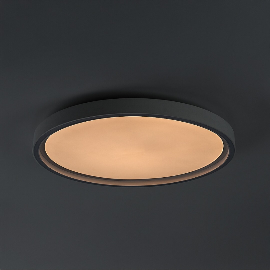 Rabalux - Dimeriuojamas LED lubinis šviestuvas LED/31W/230V IP40 3000-6500K skersmuo 41,5 cm + nuotolinis valdymas