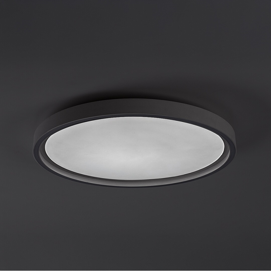 Rabalux - Dimeriuojamas LED lubinis šviestuvas LED/31W/230V IP40 3000-6500K skersmuo 41,5 cm + nuotolinis valdymas