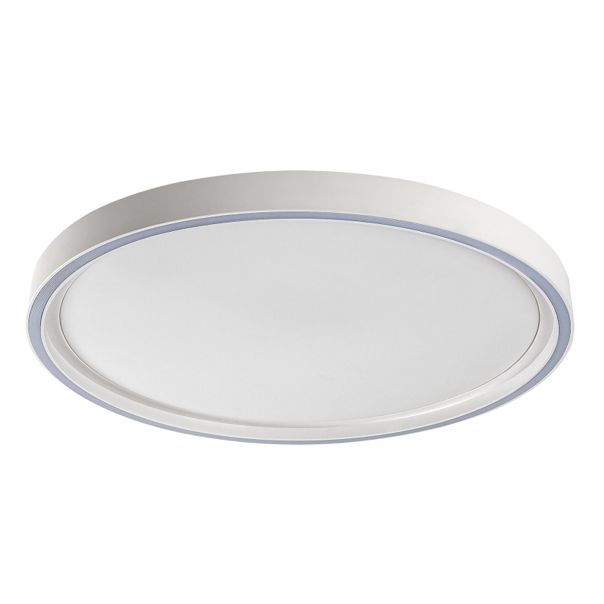Rabalux - Dimeriuojamas LED lubinis šviestuvas LED/31W/230V IP40 3000-6500K skersmuo 41,5 cm + nuotolinis valdymas