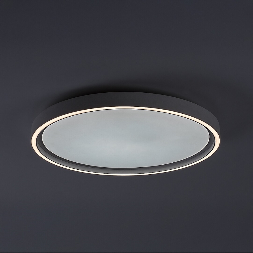 Rabalux - Dimeriuojamas LED lubinis šviestuvas LED/31W/230V IP40 3000-6500K skersmuo 41,5 cm + nuotolinis valdymas