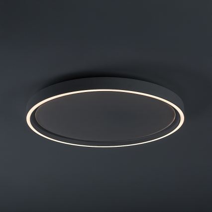 Rabalux - Dimeriuojamas LED lubinis šviestuvas LED/31W/230V IP40 3000-6500K skersmuo 41,5 cm + nuotolinis valdymas