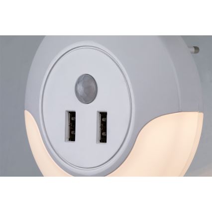 Rabalux - LED naktinė lemputė su jutikliu, įkišama į lizdą, 2xUSB LED/13,9W/230V 3000K