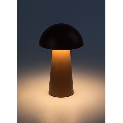 Rabalux - dimeriuojama jutiklinė įkraunama lauko LED lempa LED/1,5W/5V IP44 1200 mAh USB ruda