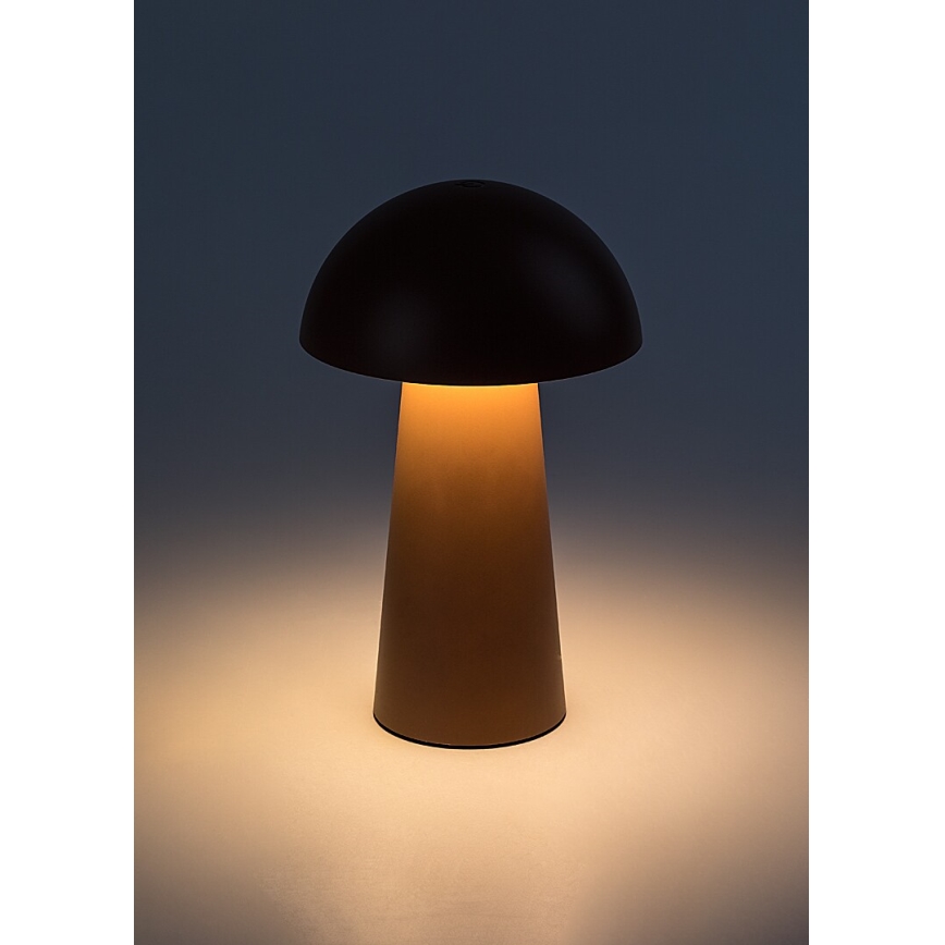 Rabalux - dimeriuojama jutiklinė įkraunama lauko LED lempa LED/1,5W/5V IP44 1200 mAh USB ruda