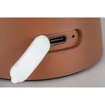 Rabalux - dimeriuojama jutiklinė įkraunama lauko LED lempa LED/1,5W/5V IP44 1200 mAh USB ruda