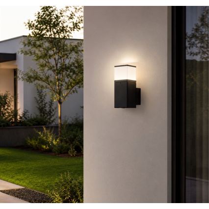 Rabalux - LED lauko sieninis šviestuvas su kištukiniu lizdu LED/10W/230V IP44