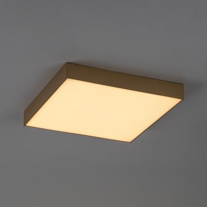 Rabalux - LED vonios lubinis šviestuvas LED/24W/230V 2800/4000/6000K IP44