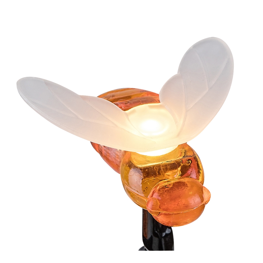 Rabalux - LED grandinė, įkraunama saulės šviesa 20xLED/0,06W/1,2V IP44 600 mAh