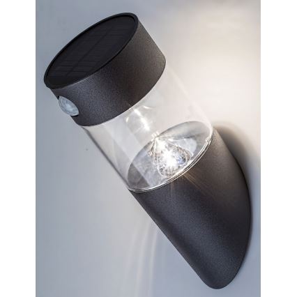 Rabalux - LED Saulės energijos šviestuvas su jutikliu LED/1,5W/3,7V IP44