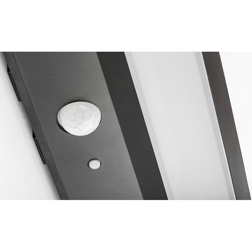 Rabalux - LED Saulės energijos šviestuvas su jutikliu LED/6W/3,7V IP44 2200 mAh