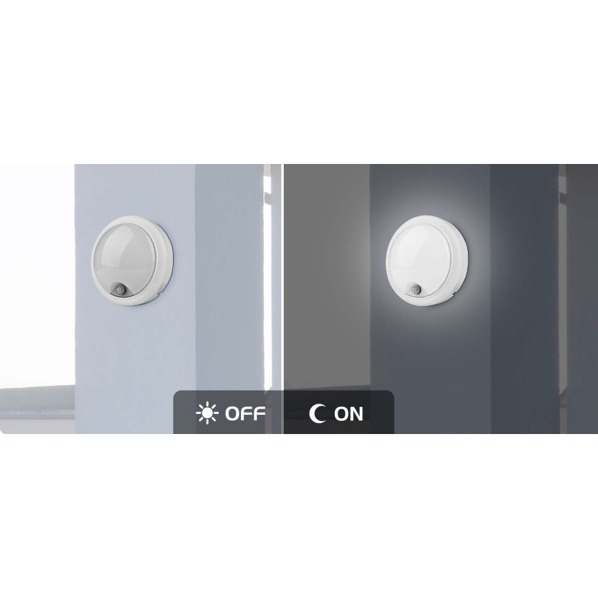 Rabalux - LED Lauko sieninis šviestuvas su jutikliu LED/15W/230V IP54