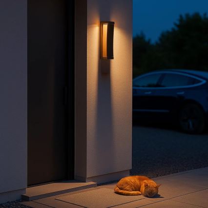 Rabalux - LED lauko sieninis šviestuvas LED/13W/230V IP65 ruda