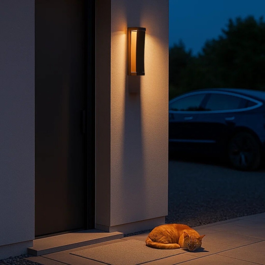 Rabalux - LED lauko sieninis šviestuvas LED/13W/230V IP65 ruda