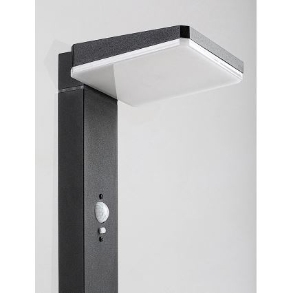 Rabalux - LED reguliuojamo ryškumo saulės lauko lempa su jutikliu LED/4,4W/3,7V IP54 antracitas 2200 mAh