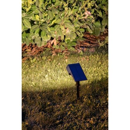 Rabalux - LED Saulės šviestuvas LED/0,5W/3,7V IP65 juodas 3000 mAh