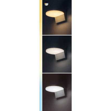 Rabalux - LED sieninis lauko šviestuvas LED/9W/230V 2700/4000/6500K IP54 balta