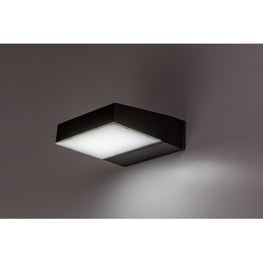 Rabalux - LED sieninis lauko šviestuvas LED/14W/230V 2700/4000/6500K IP54