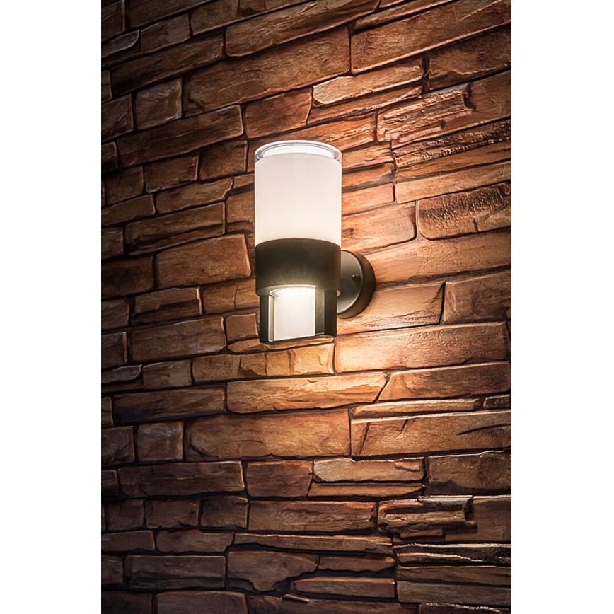 Rabalux - LED sieninis lauko šviestuvas LED/12W/230V IP44